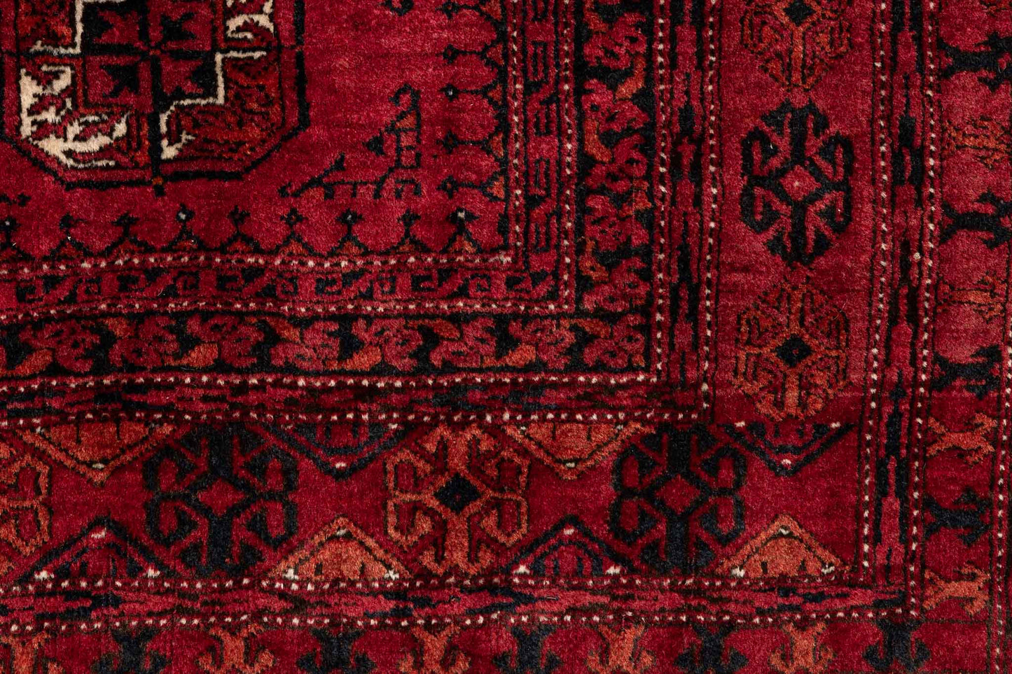 294 × 210 Turkmen