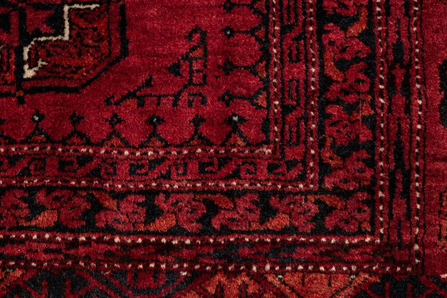 294 × 210 Turkmen