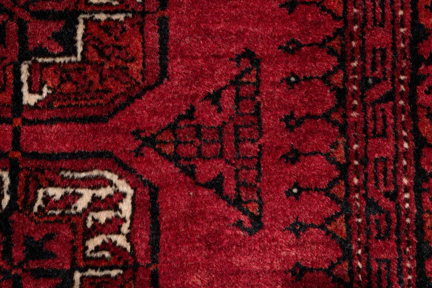 294 × 210 Turkmen