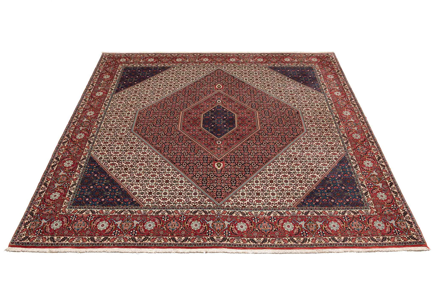 253 × 253 Bidjar