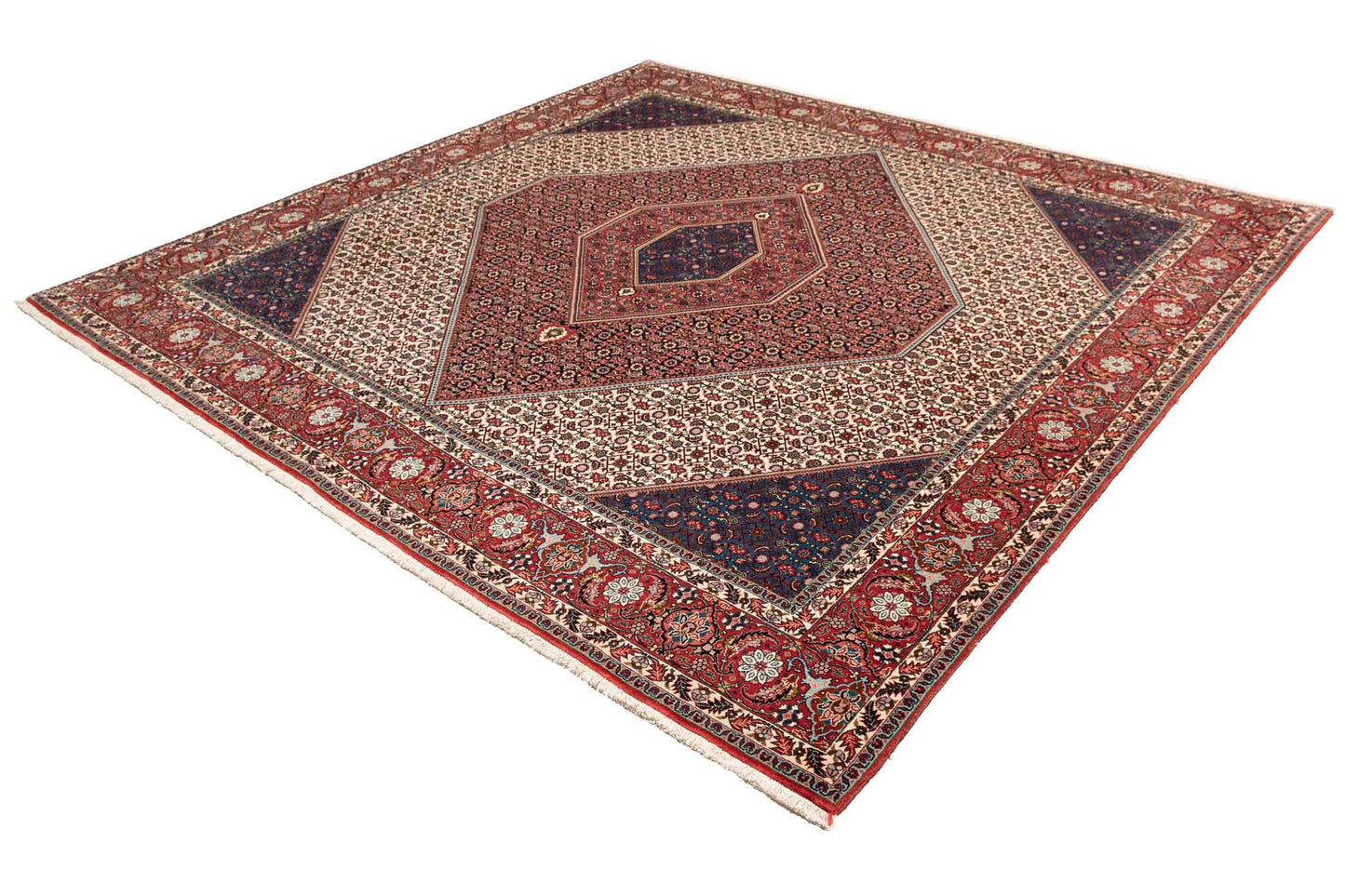 253 × 253 Bidjar