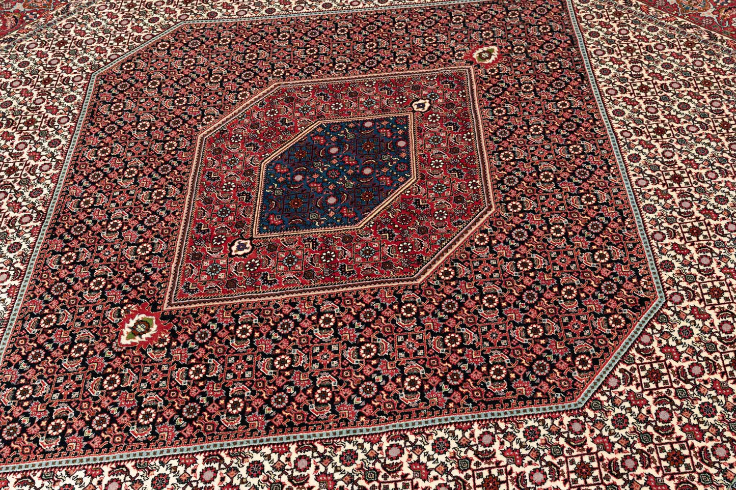 253 × 253 Bidjar