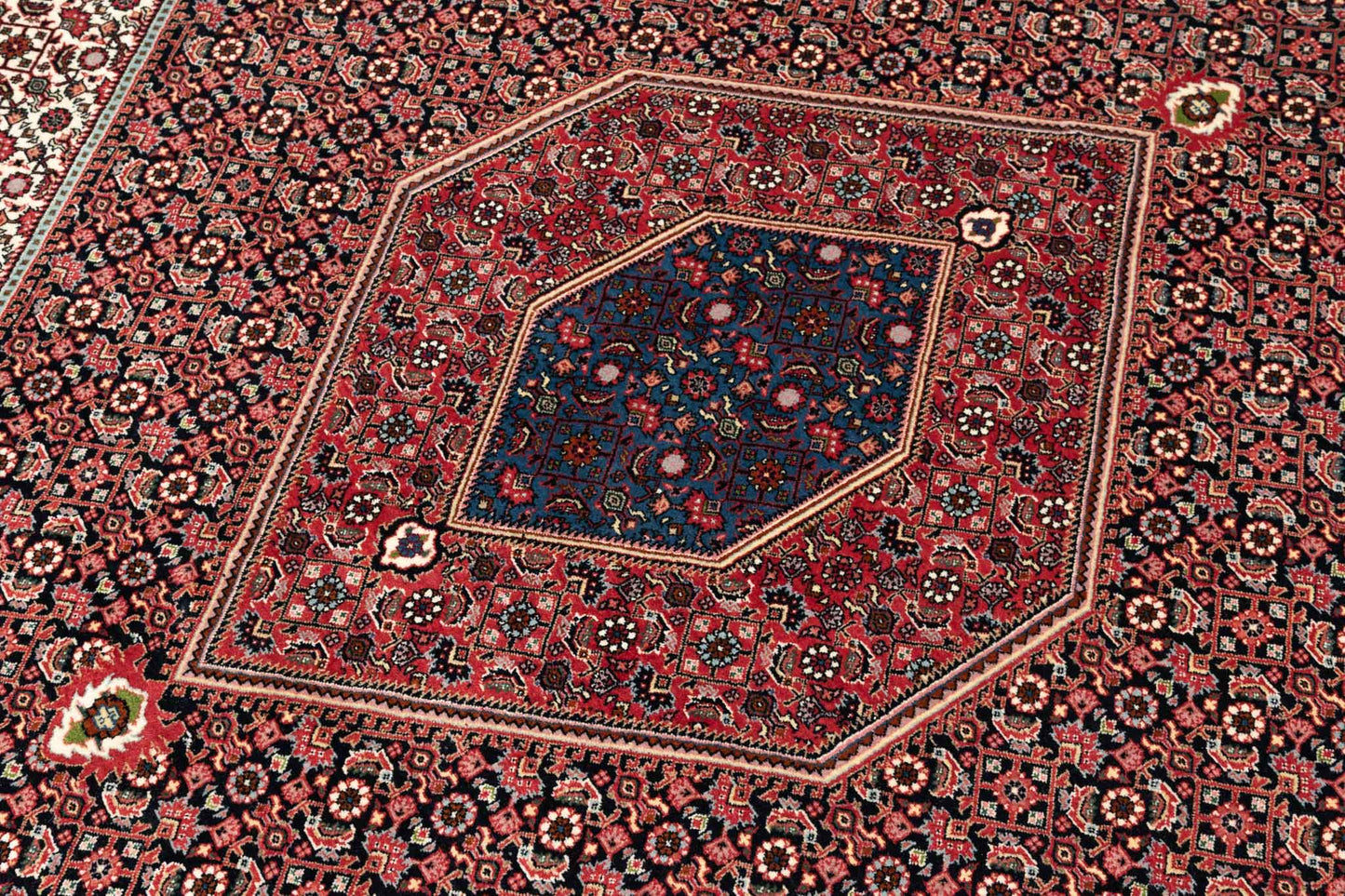 253 × 253 Bidjar