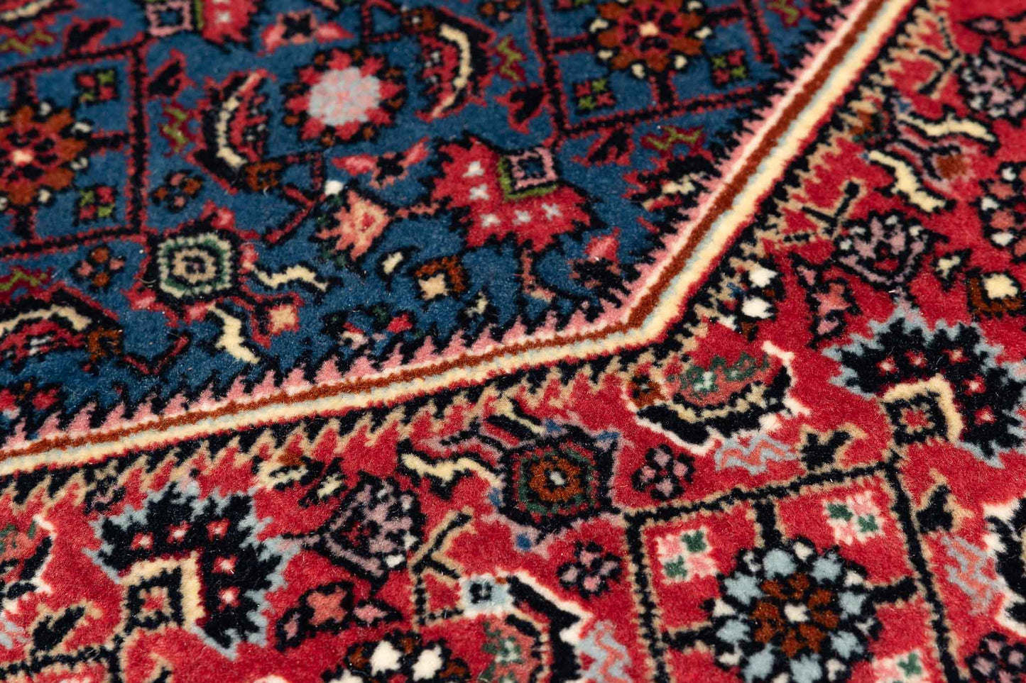 253 × 253 Bidjar