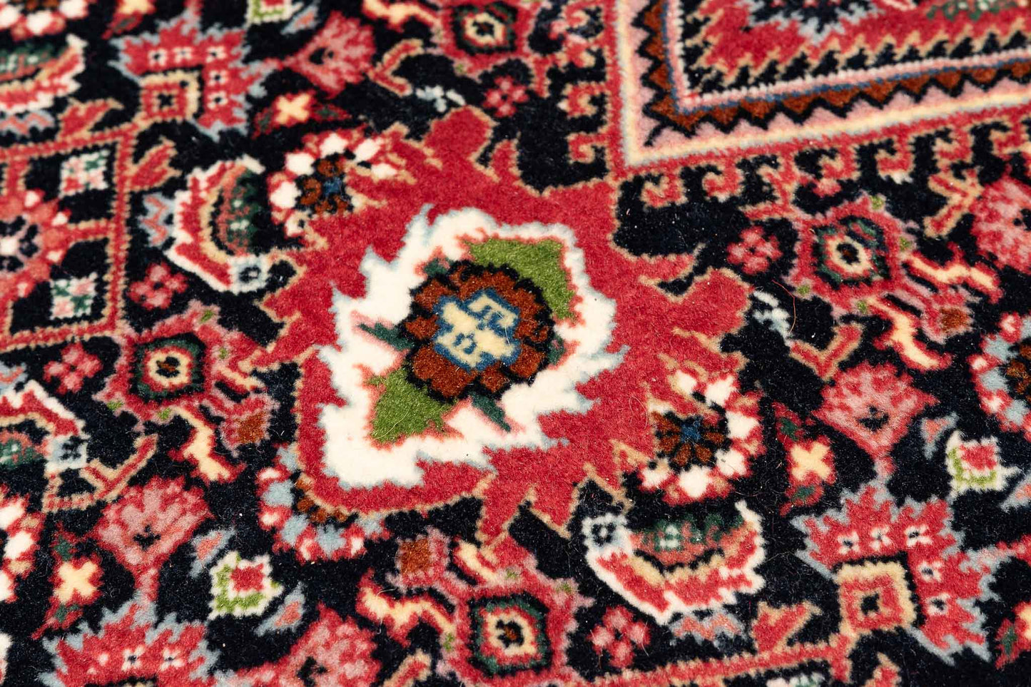 253 × 253 Bidjar