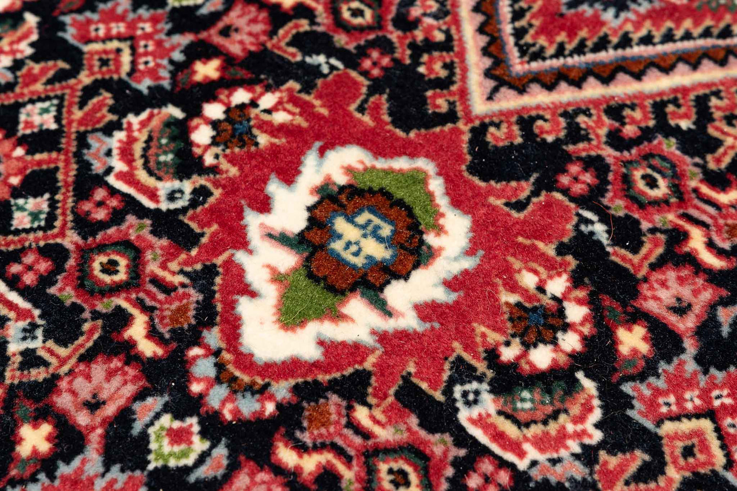 253 × 253 Bidjar