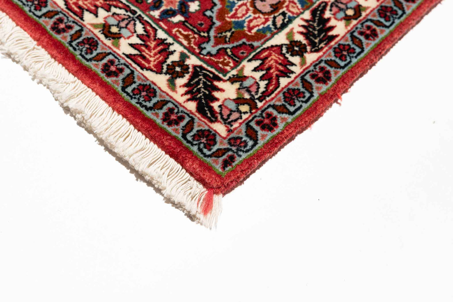 253 × 253 Bidjar