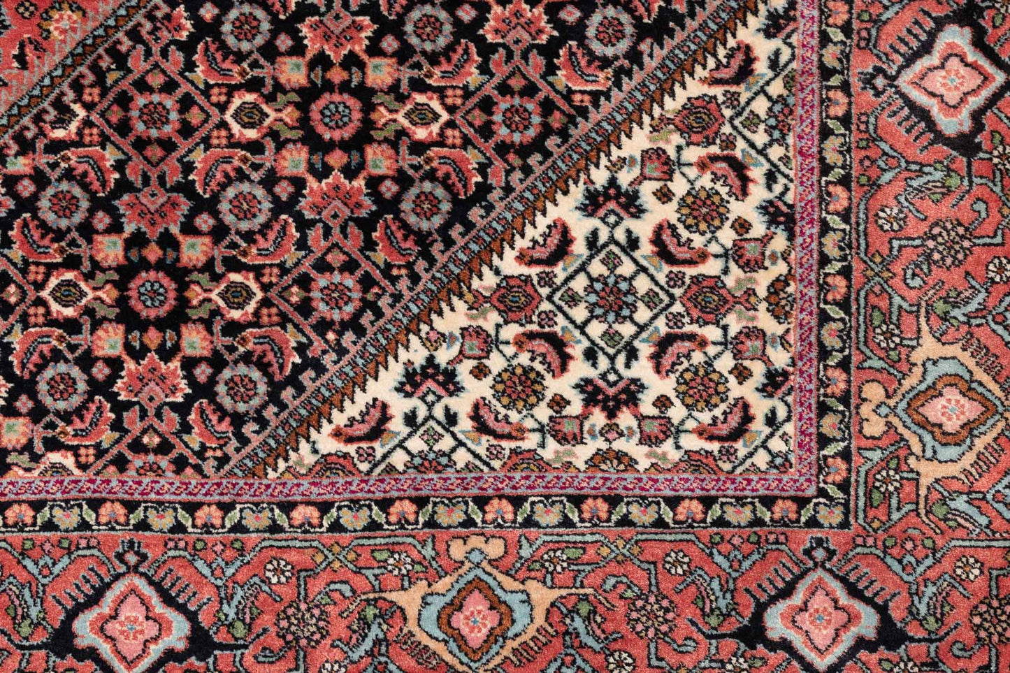 248 × 177 Bidjar