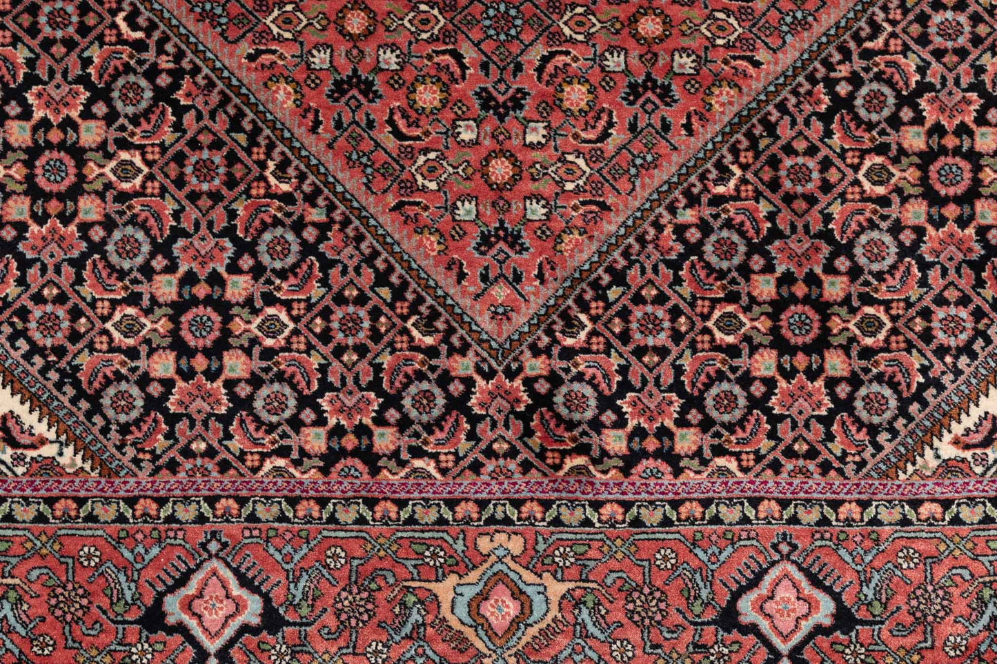 248 × 177 Bidjar