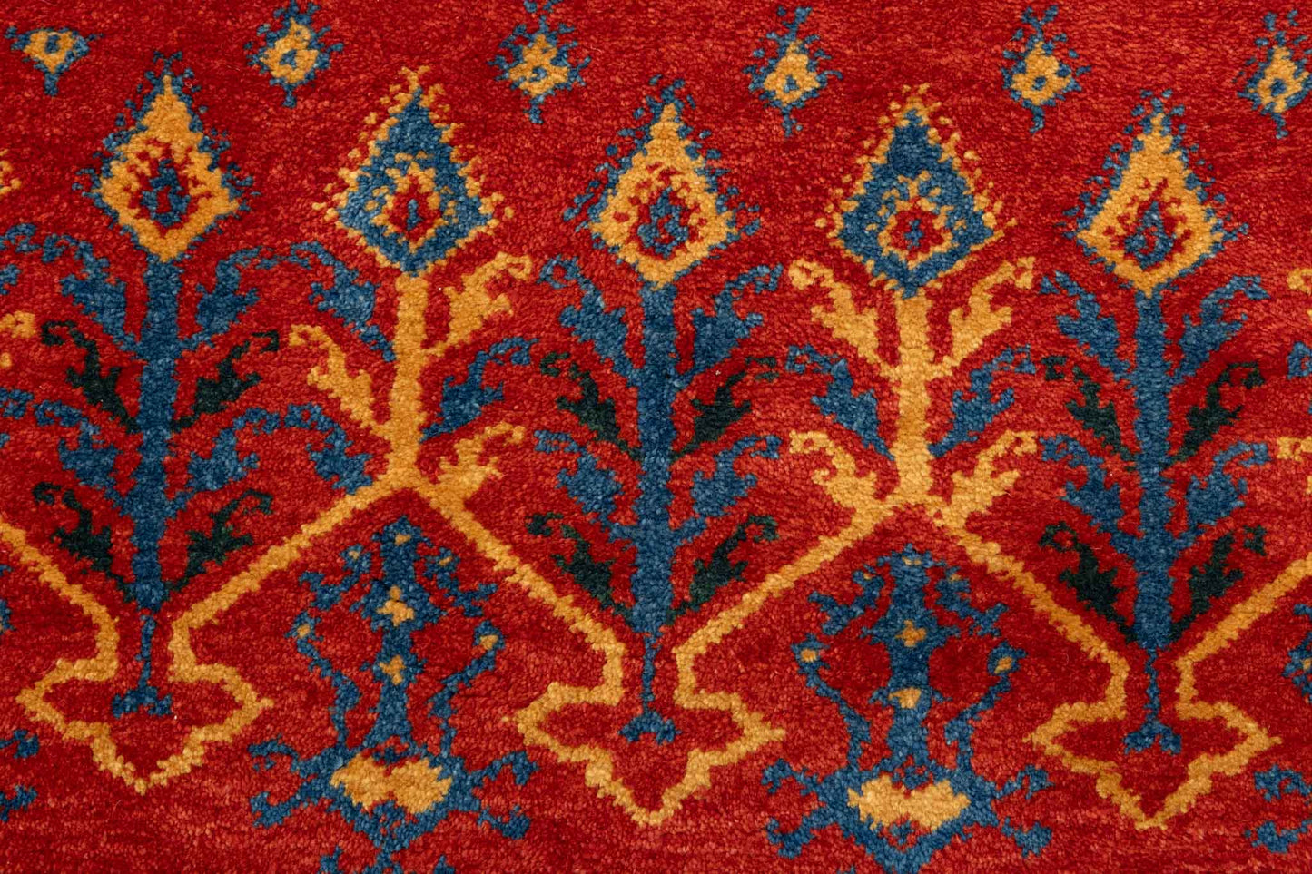 269 × 105 Tollu