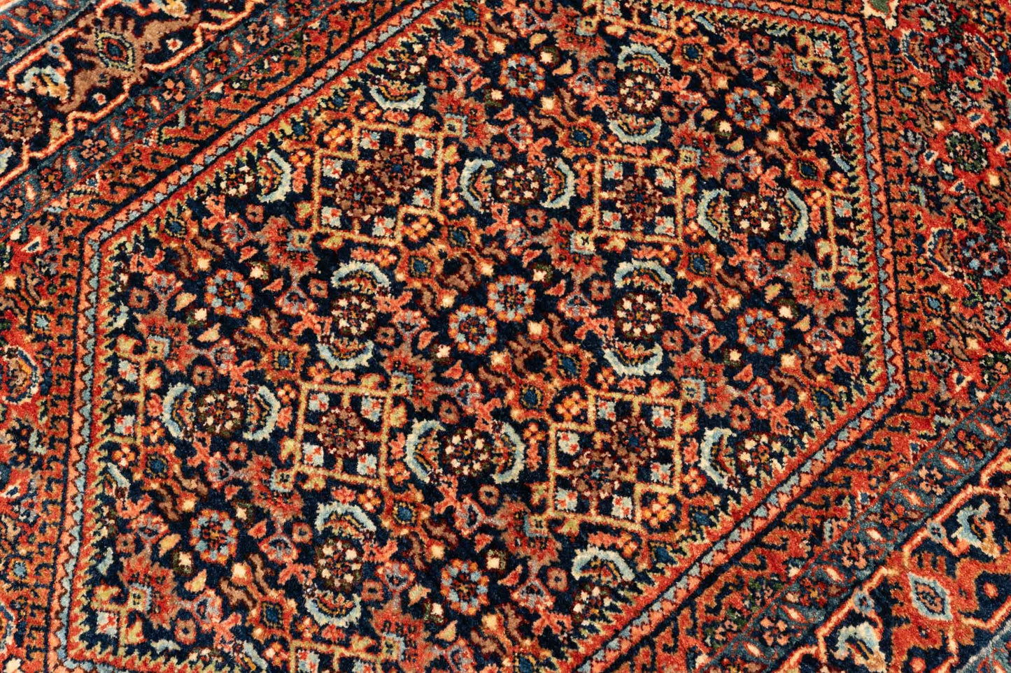 277 × 084 Bidjar Mirzai
