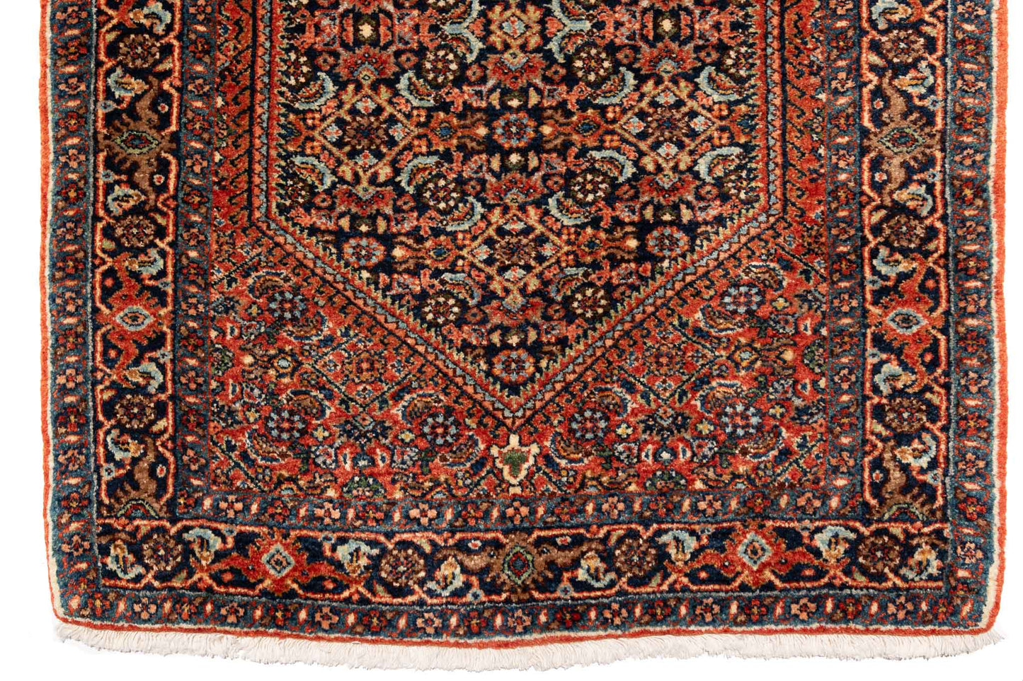277 × 084 Bidjar Mirzai