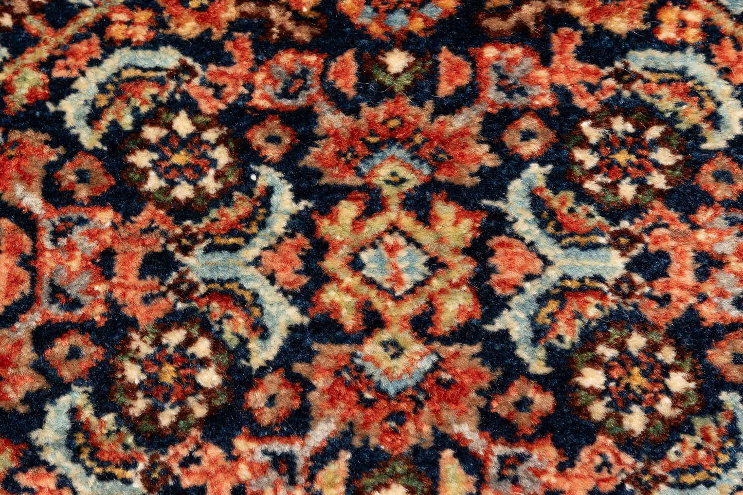 277 × 084 Bidjar Mirzai