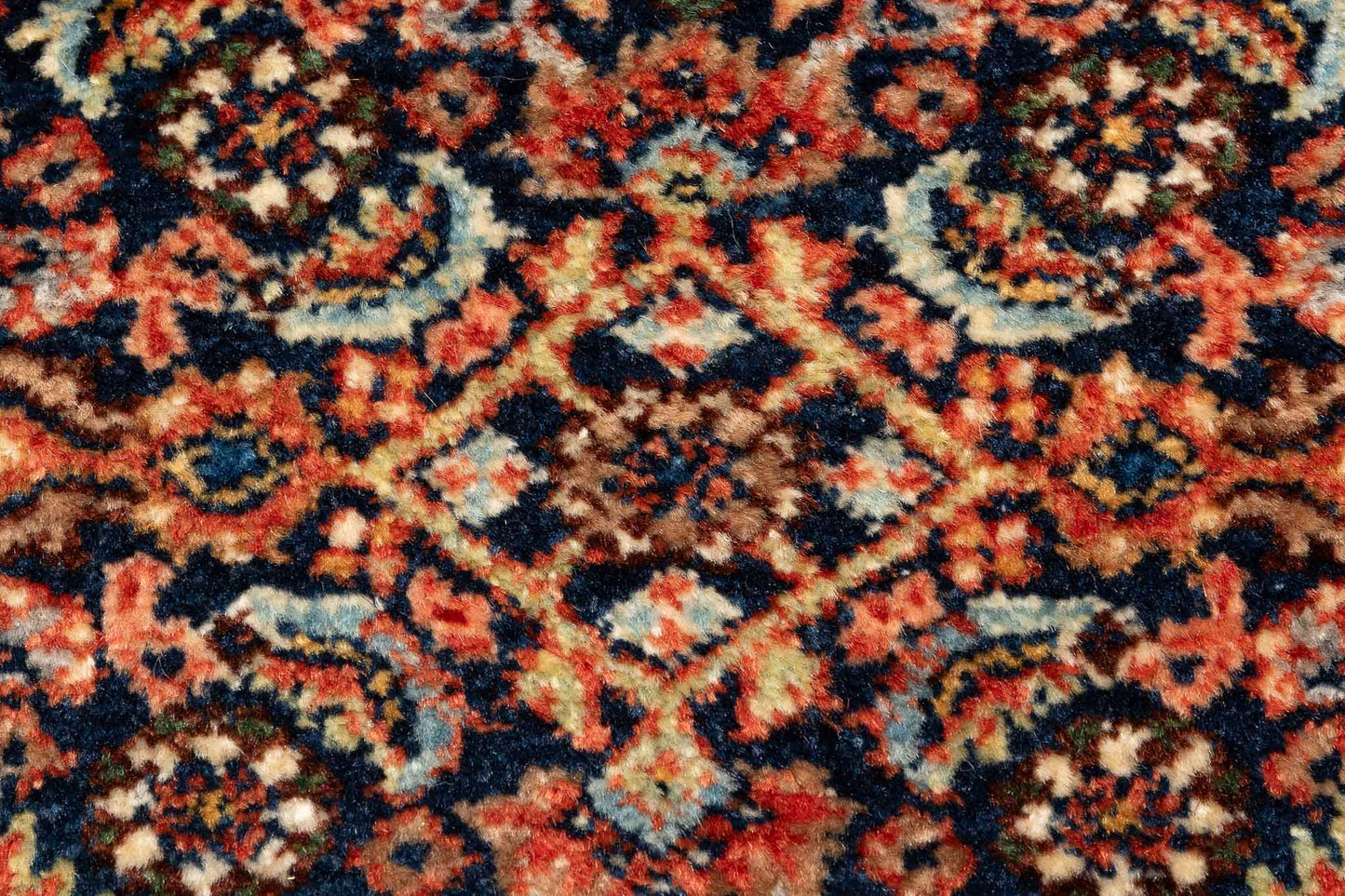 277 × 084 Bidjar Mirzai