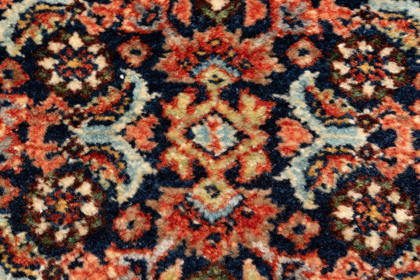 277 × 084 Bidjar Mirzai