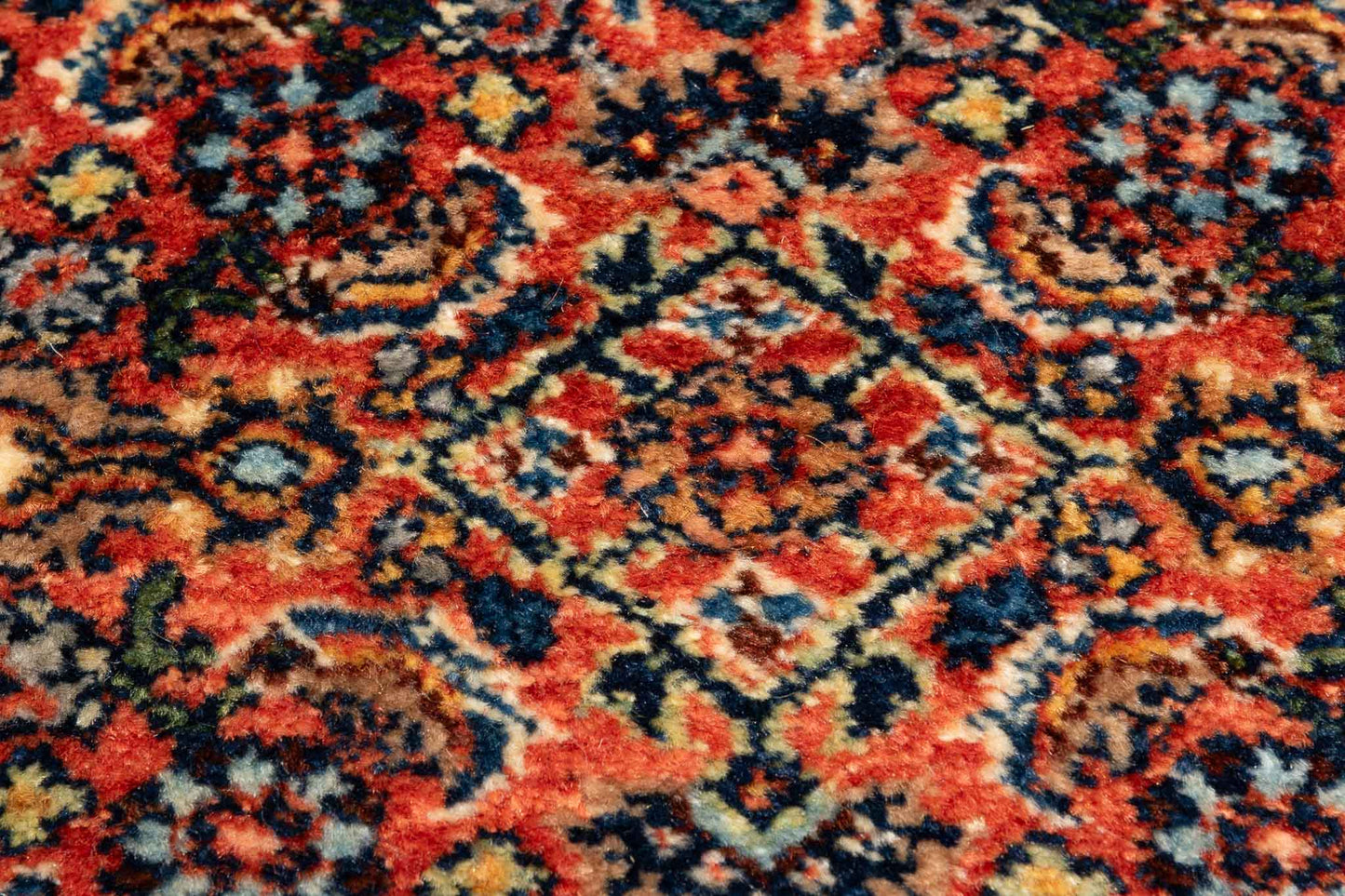277 × 084 Bidjar Mirzai