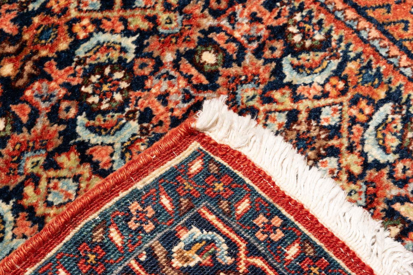 277 × 084 Bidjar Mirzai