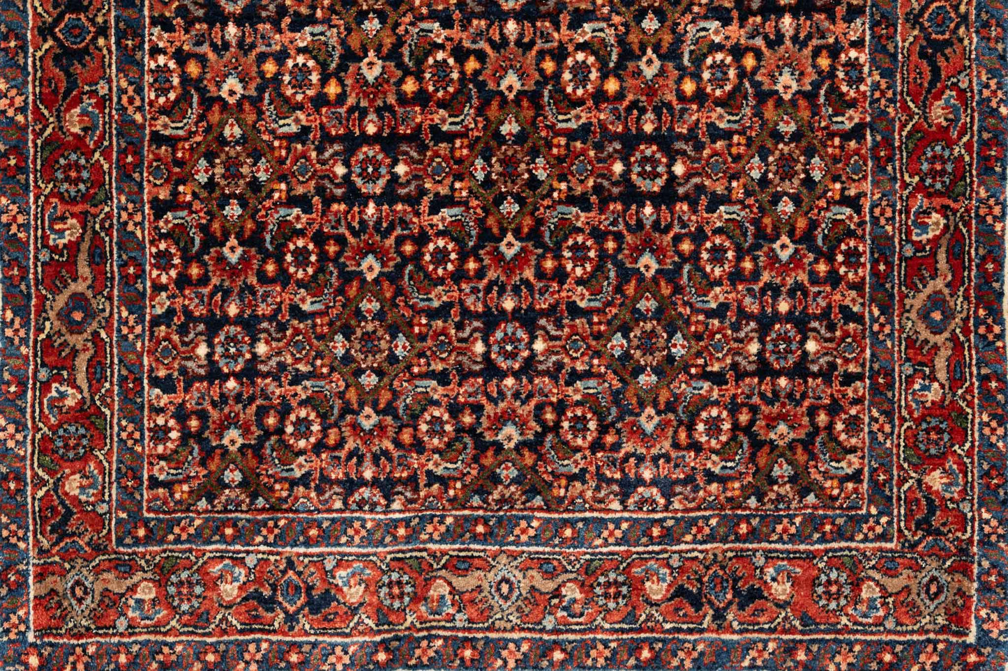 288 × 080 Bidjar Mirzai