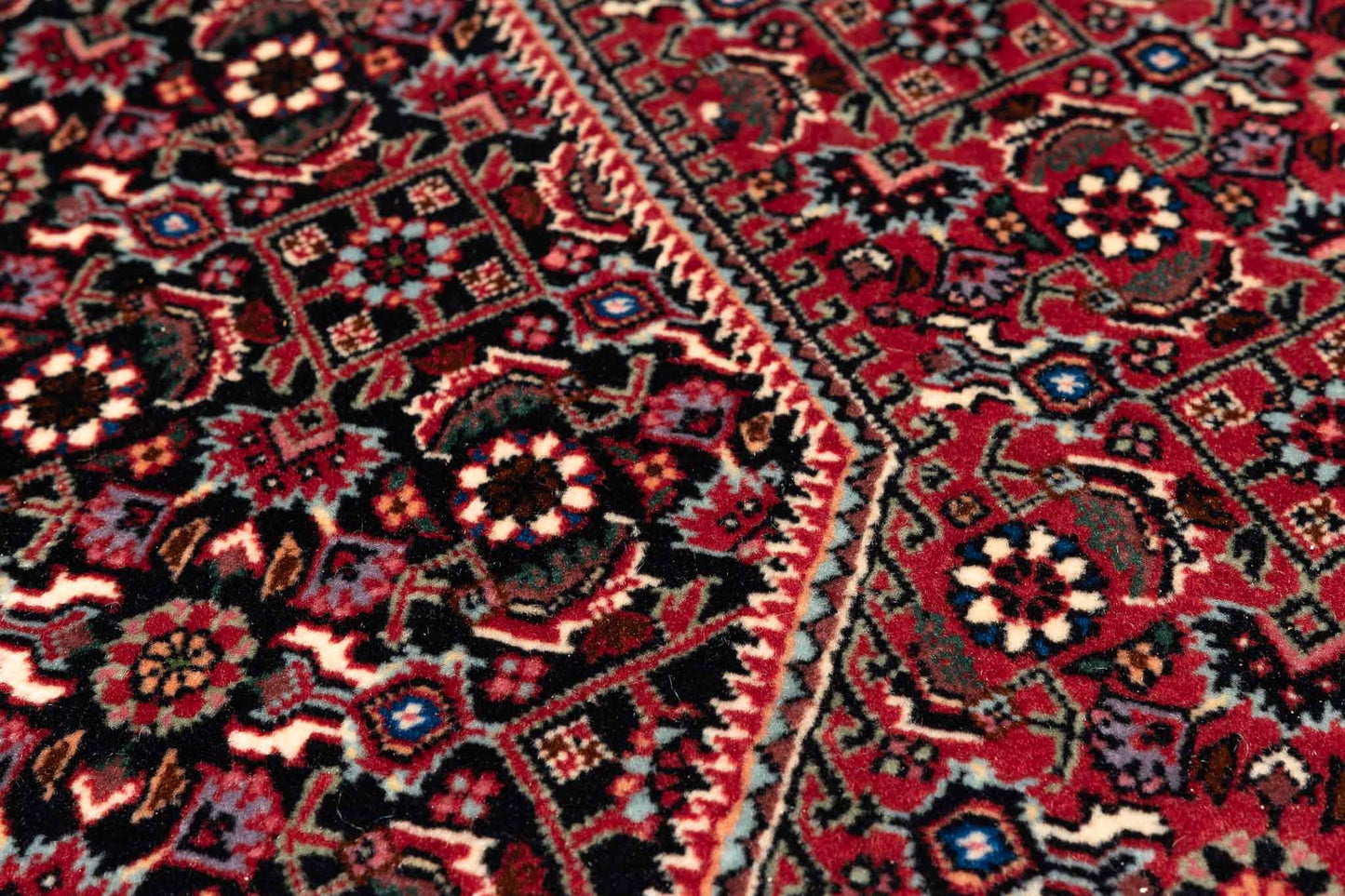 295 × 200 Bidjar