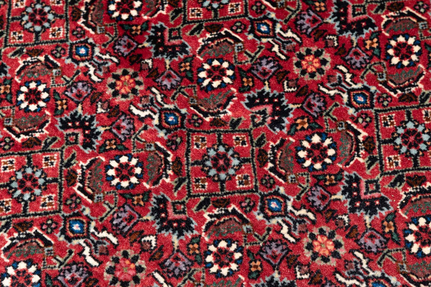 295 × 200 Bidjar