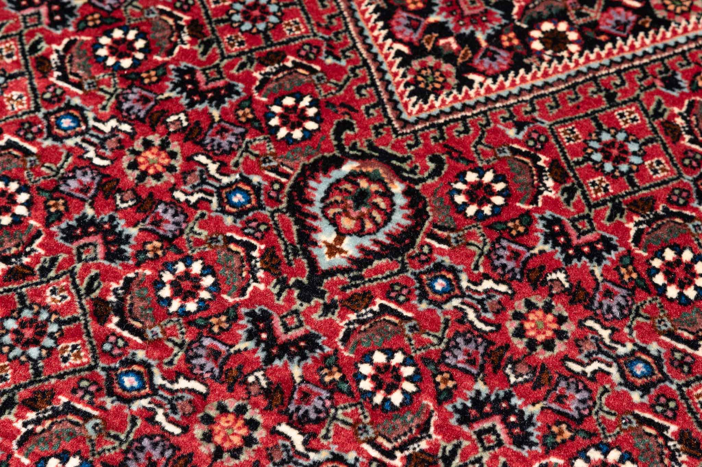 295 × 200 Bidjar