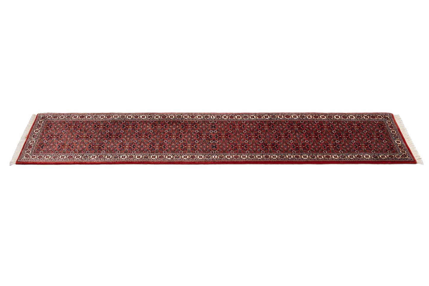 257 × 053 Bidjar
