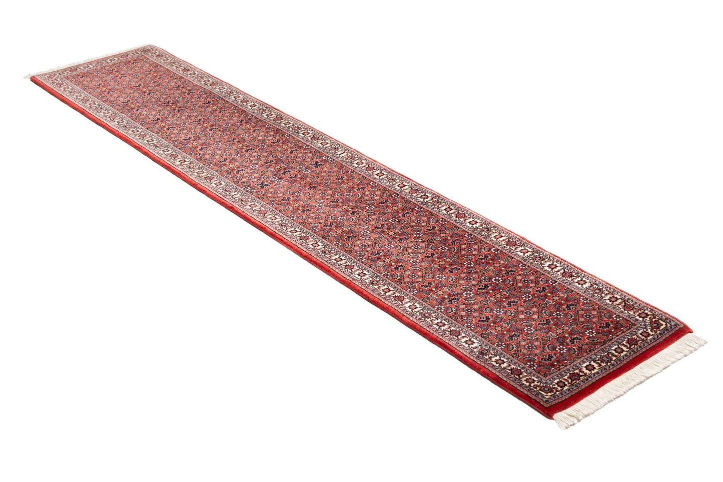 257 × 053 Bidjar