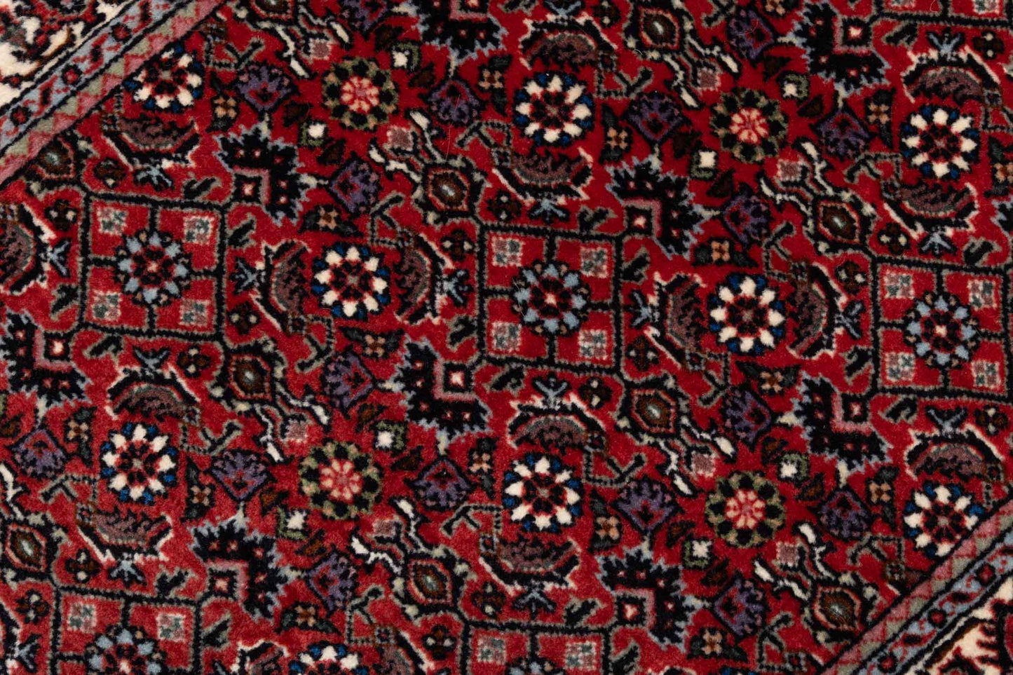 257 × 053 Bidjar