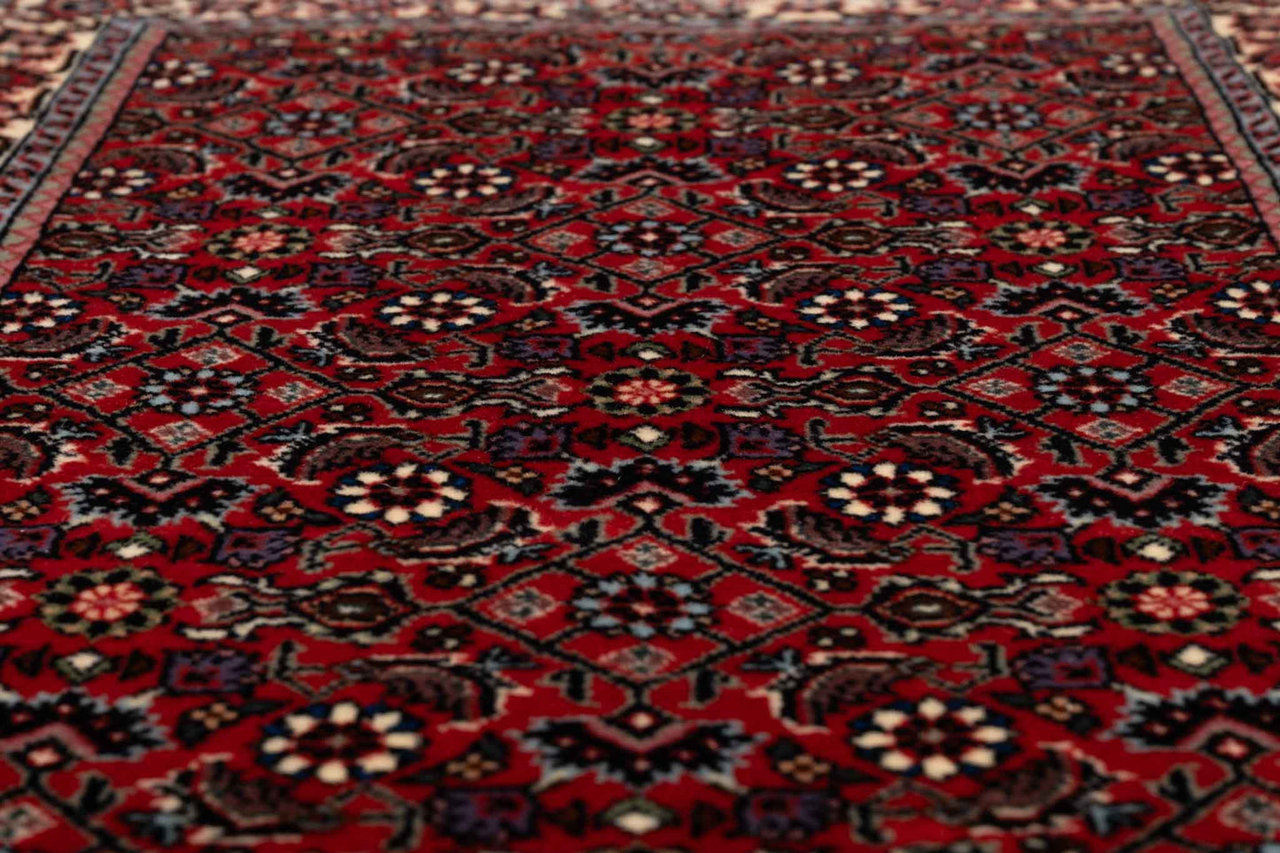 257 × 053 Bidjar