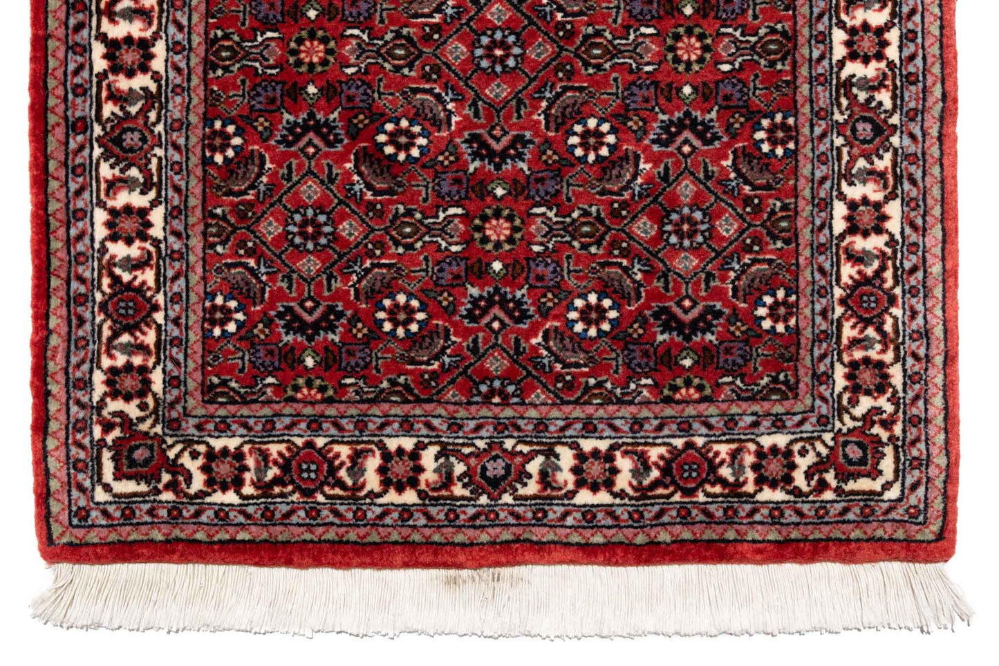 257 × 053 Bidjar