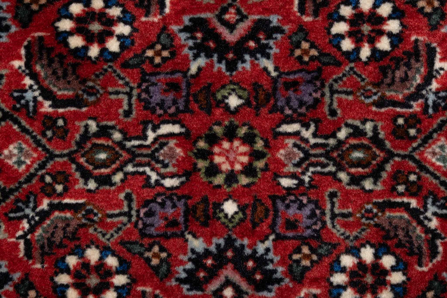 257 × 053 Bidjar