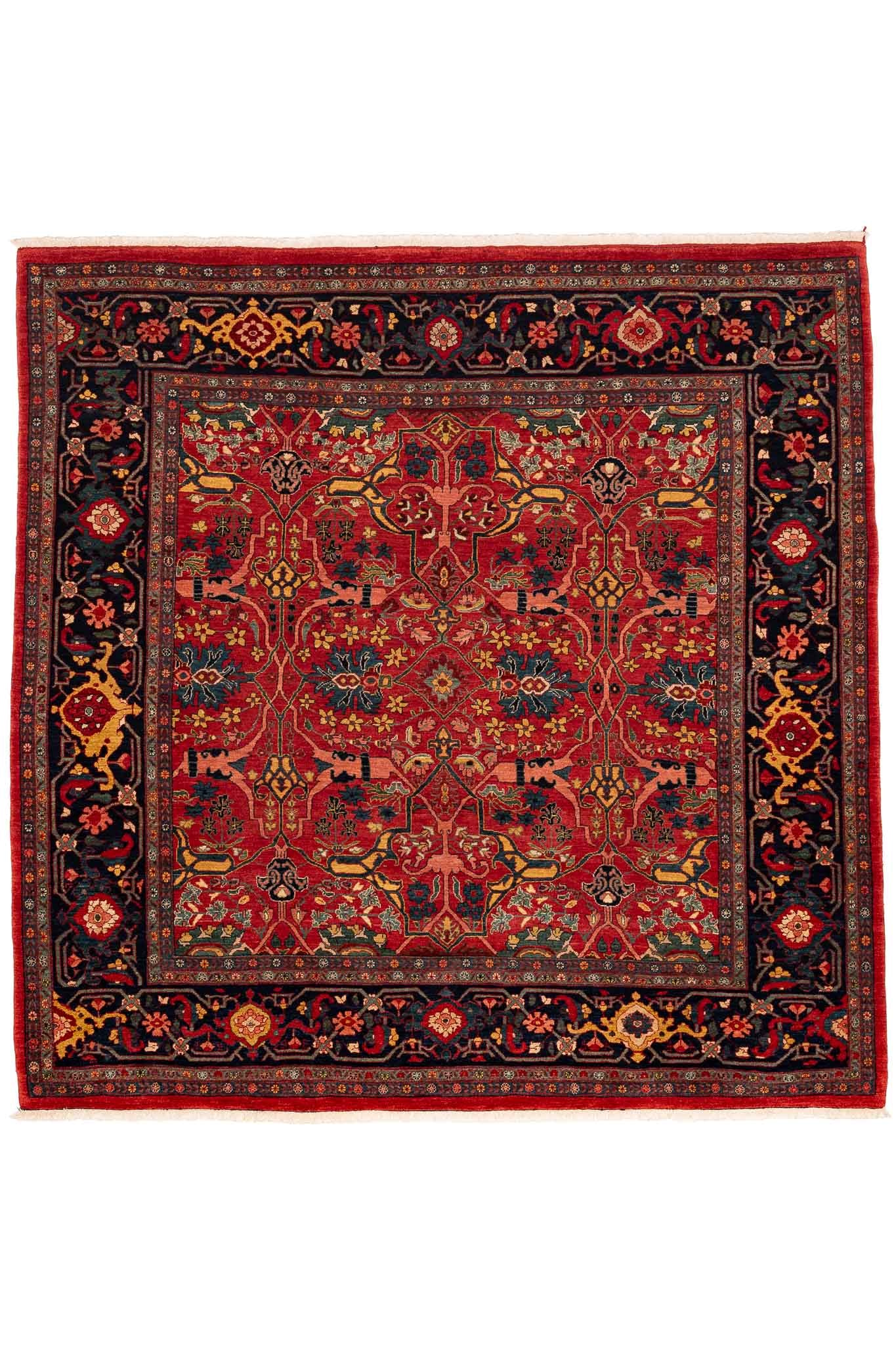 247 × 250 Bidjar Mirzai