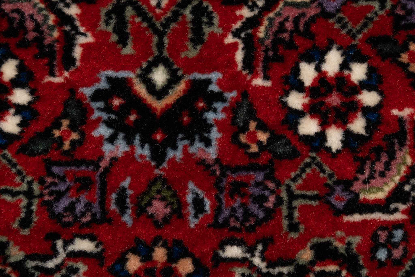 275 × 082 Bidjar