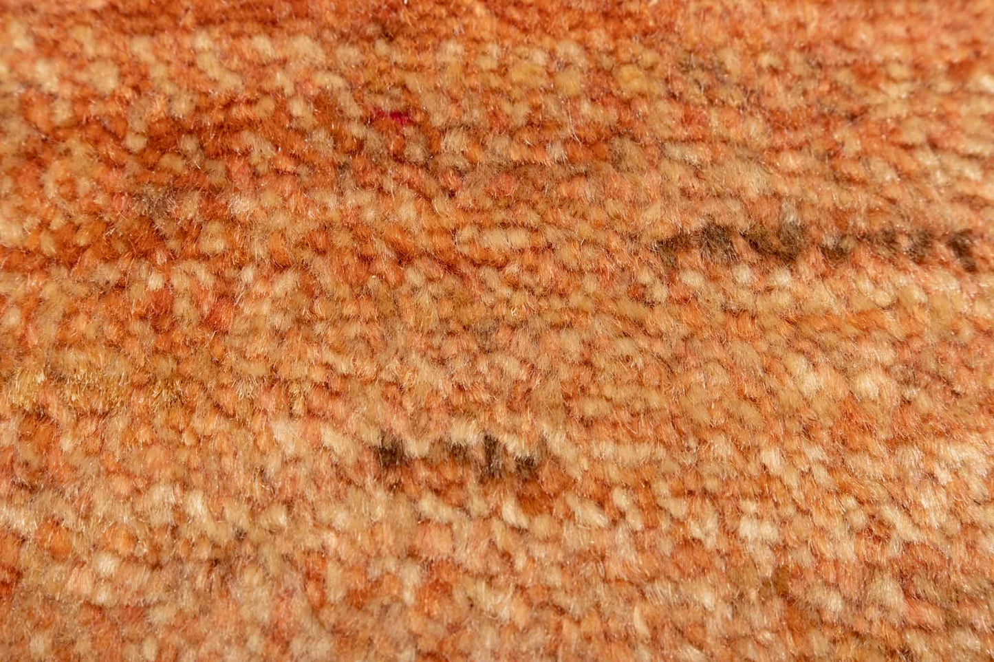 245 × 078 Kaschkuli Mirzai