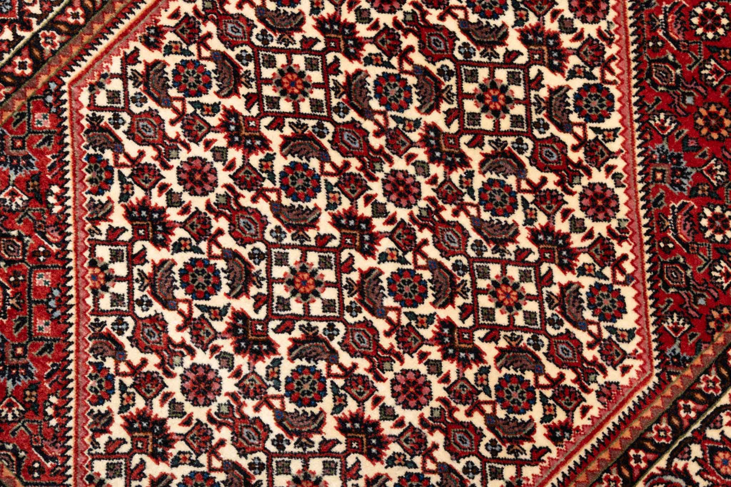 255 × 075 Bidjar