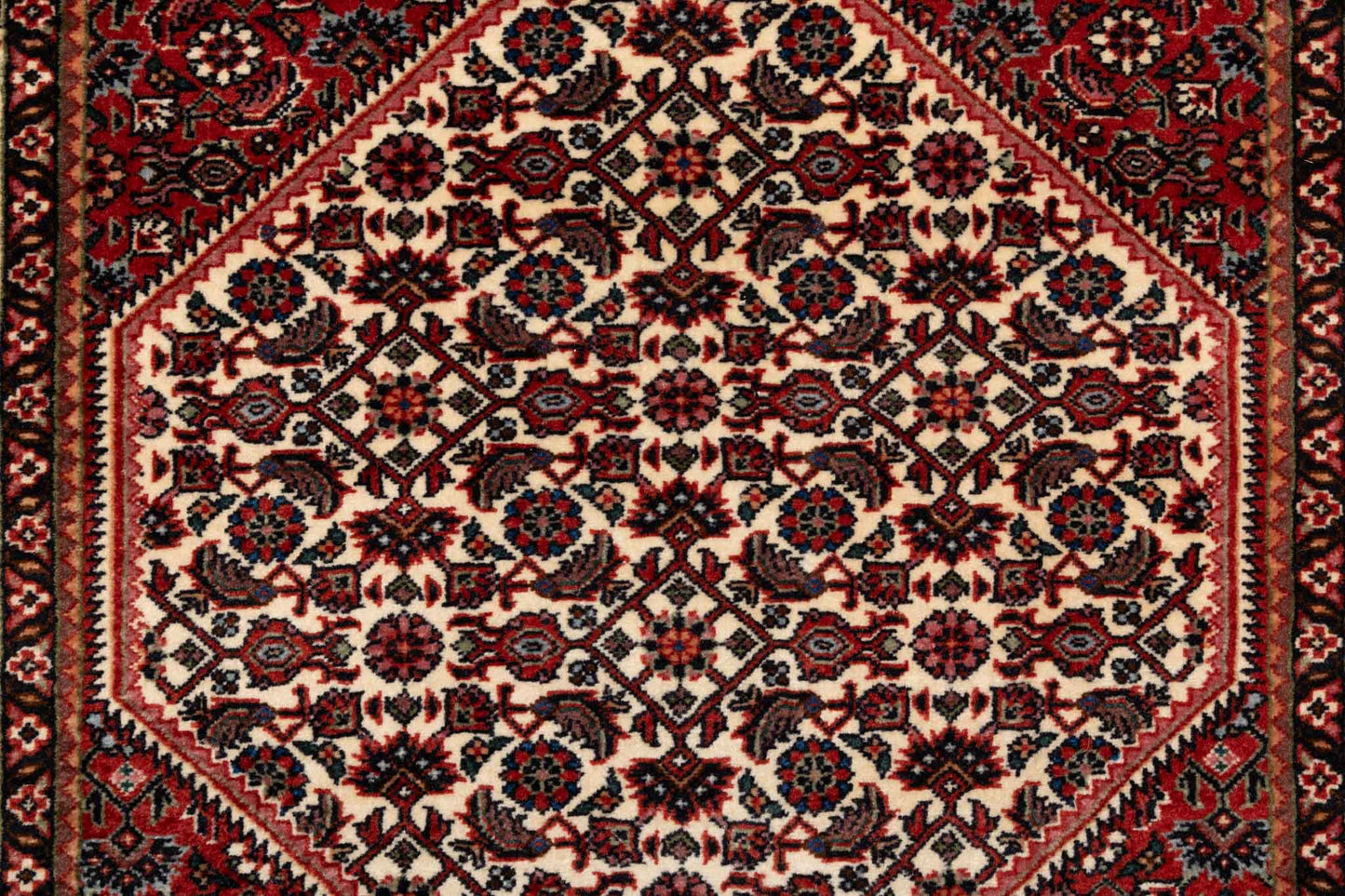 255 × 075 Bidjar