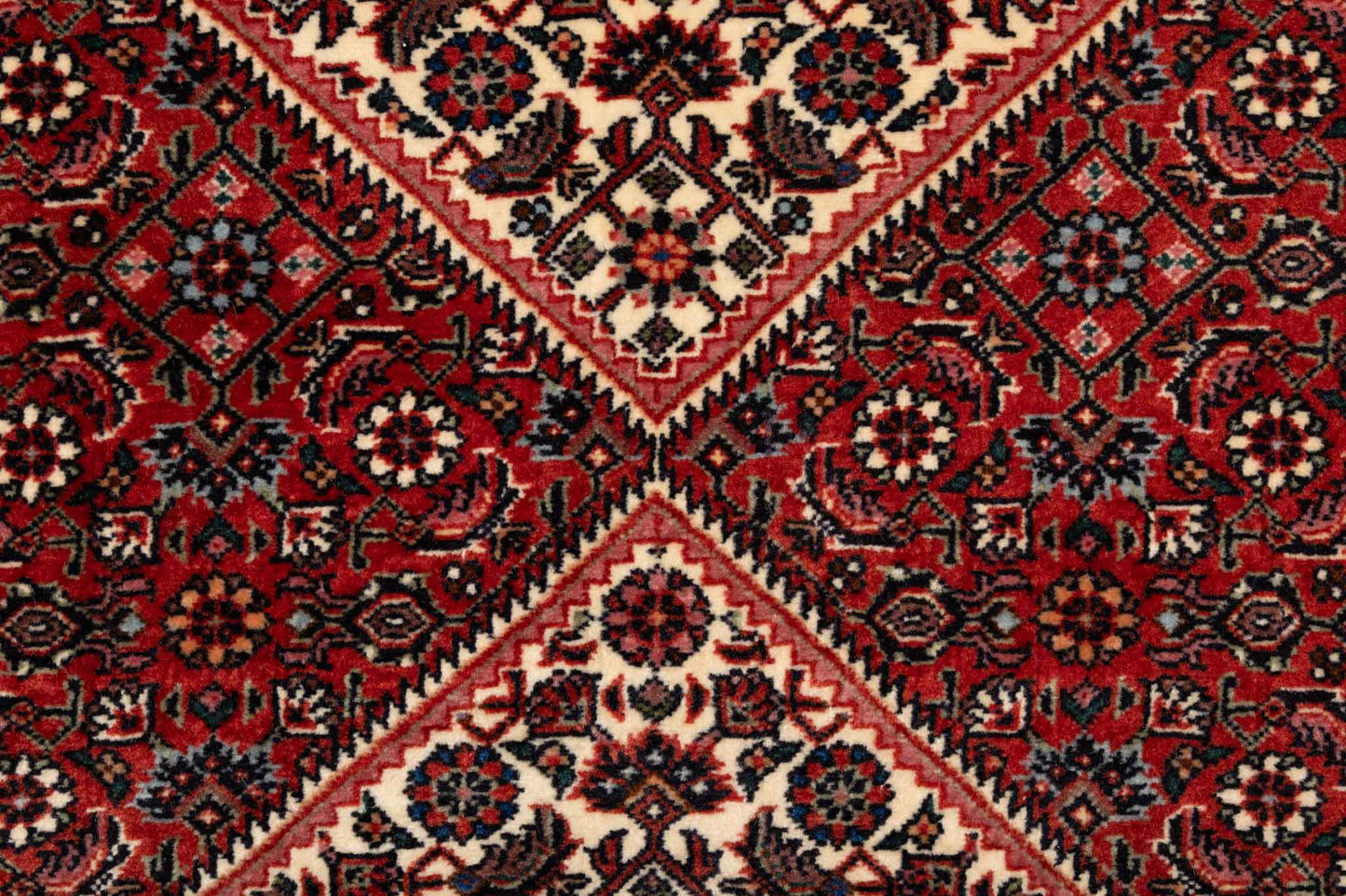 255 × 075 Bidjar