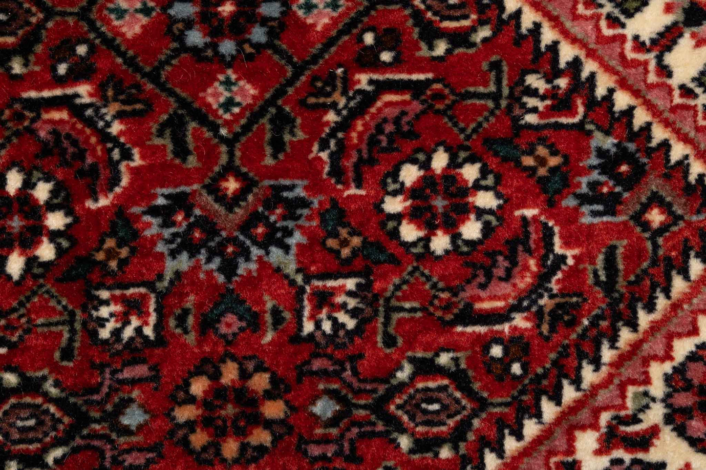 255 × 075 Bidjar