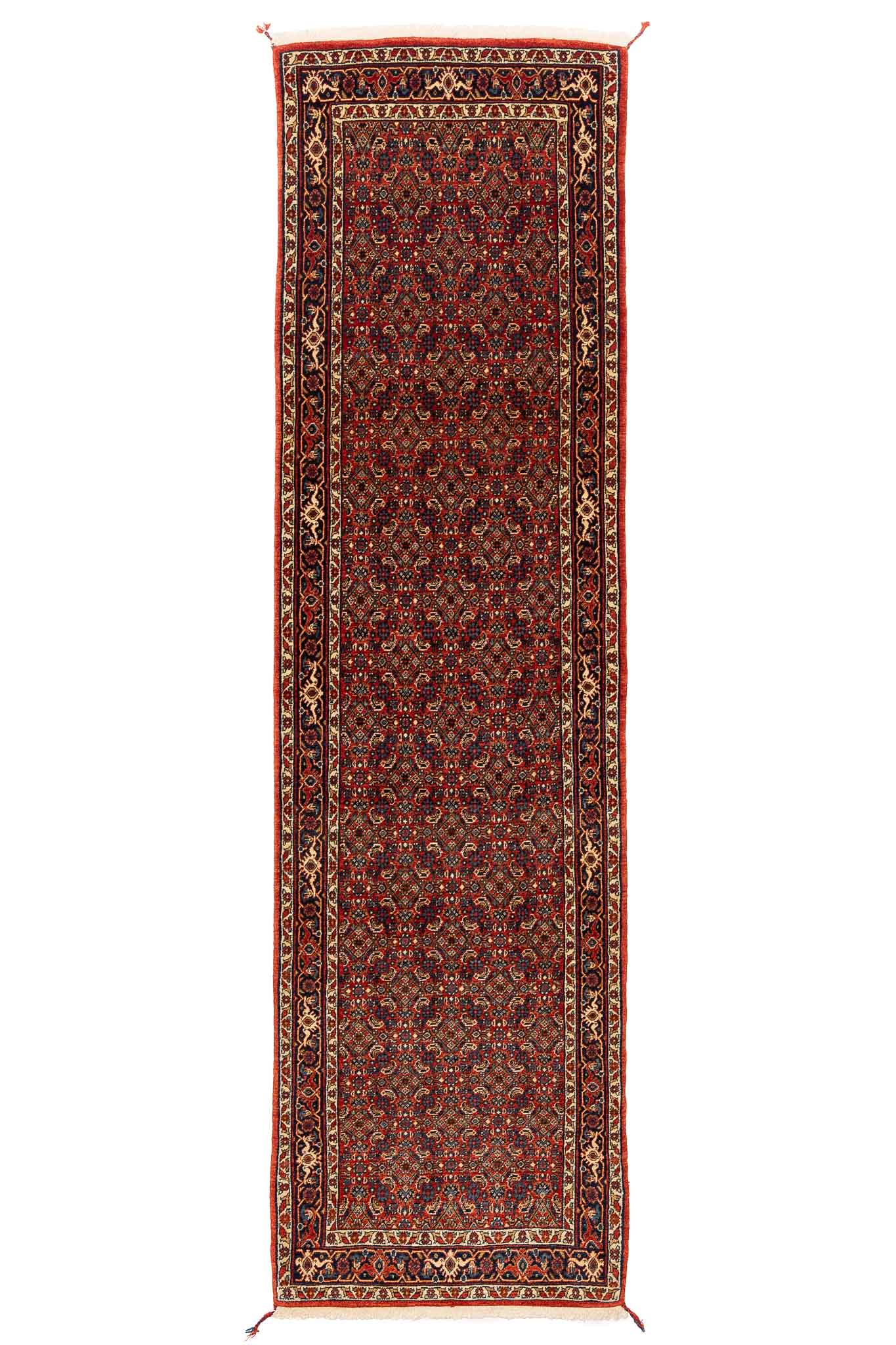 293 × 083 Bidjar Mirzai