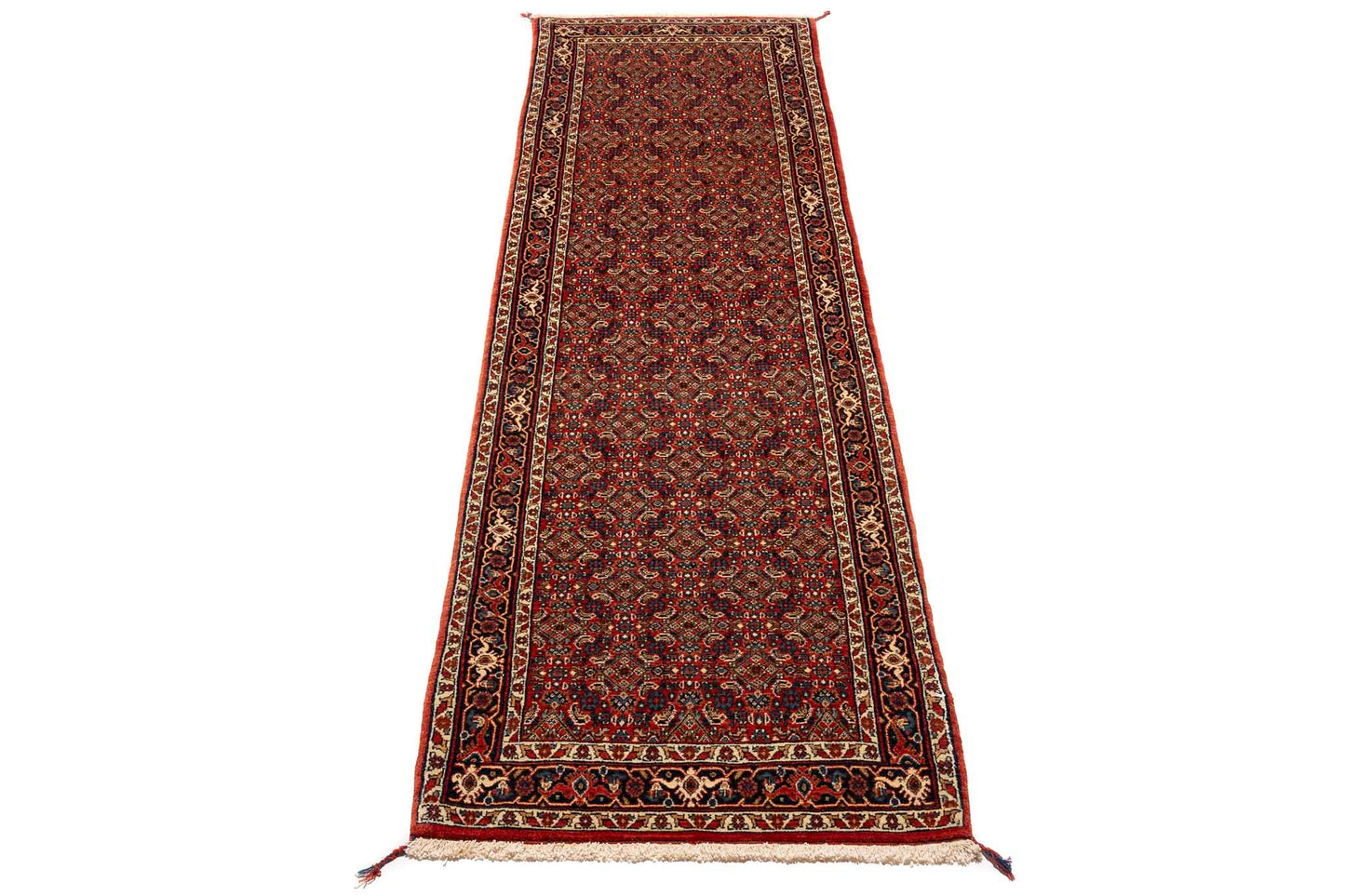 293 × 083 Bidjar Mirzai