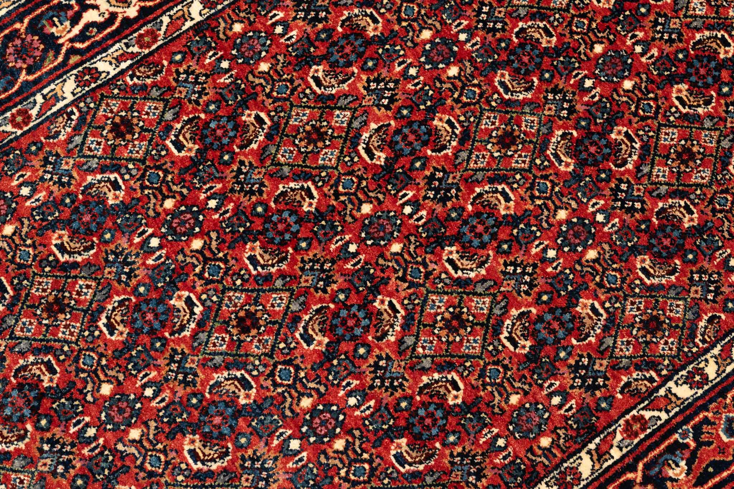 293 × 083 Bidjar Mirzai