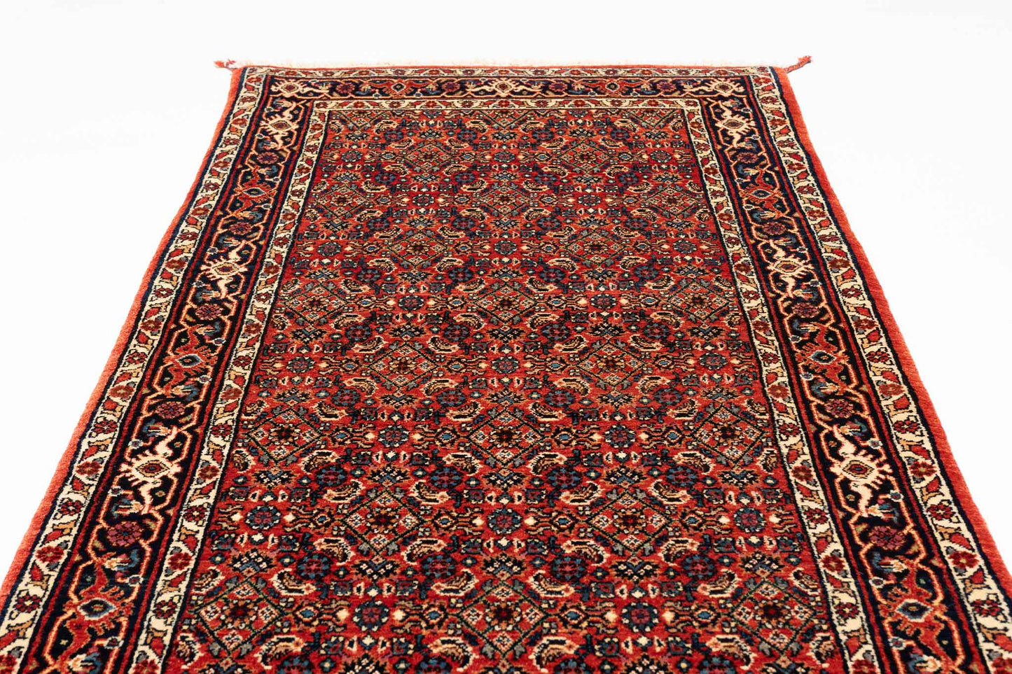 293 × 083 Bidjar Mirzai