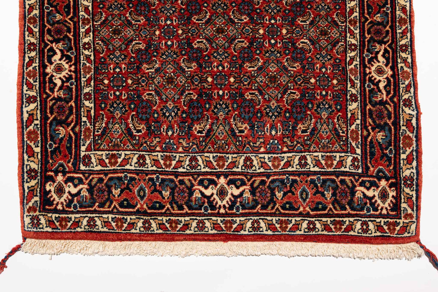 293 × 083 Bidjar Mirzai