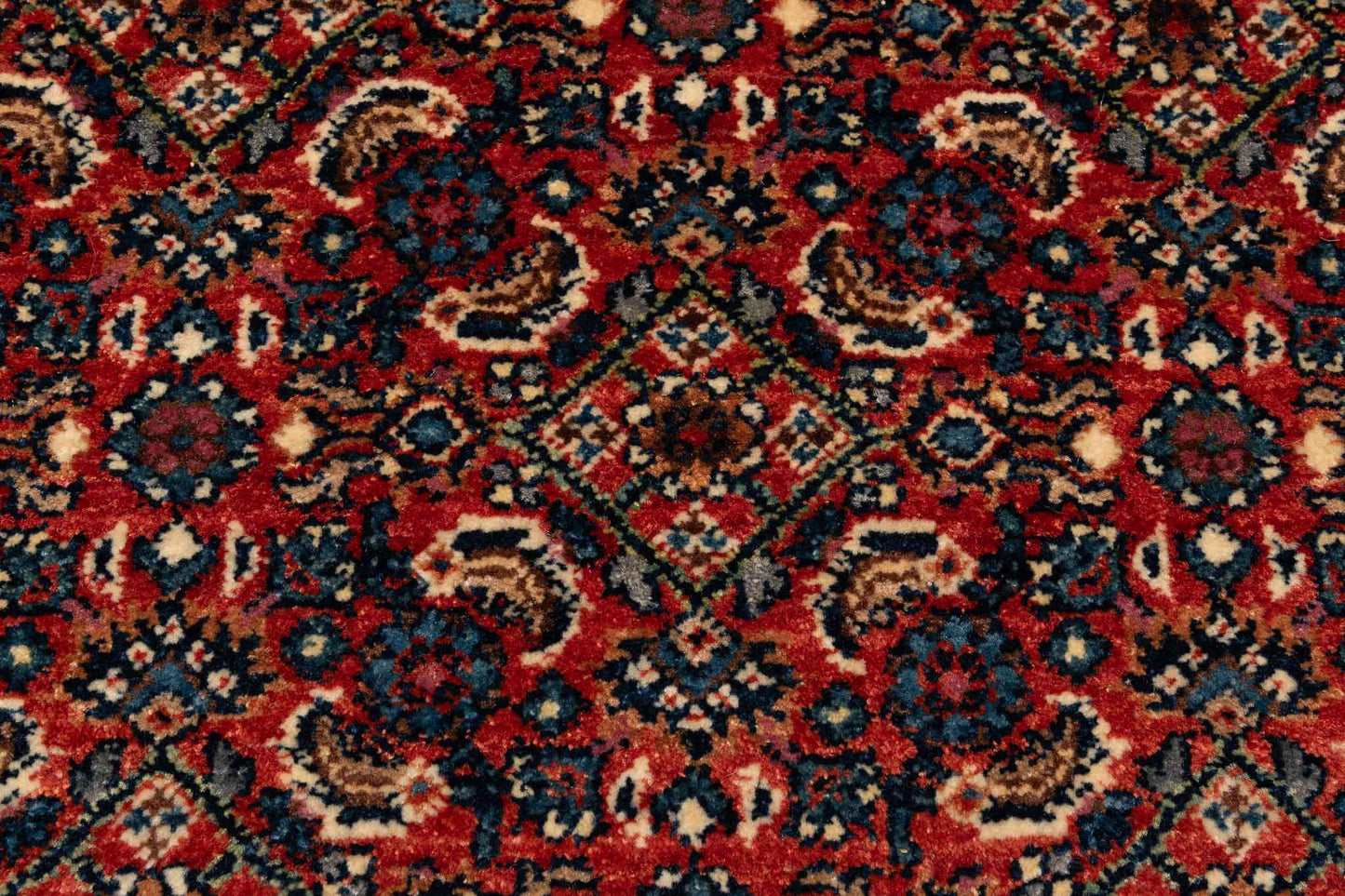 293 × 083 Bidjar Mirzai