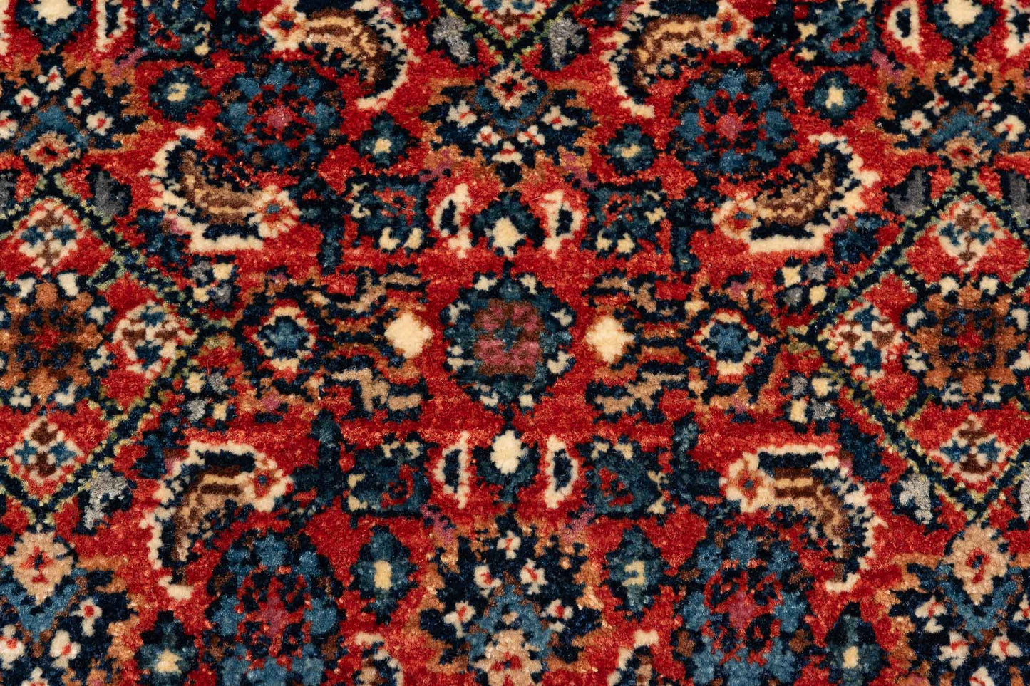 293 × 083 Bidjar Mirzai