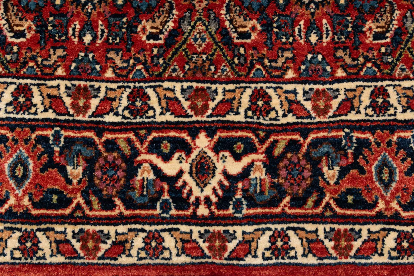 293 × 083 Bidjar Mirzai