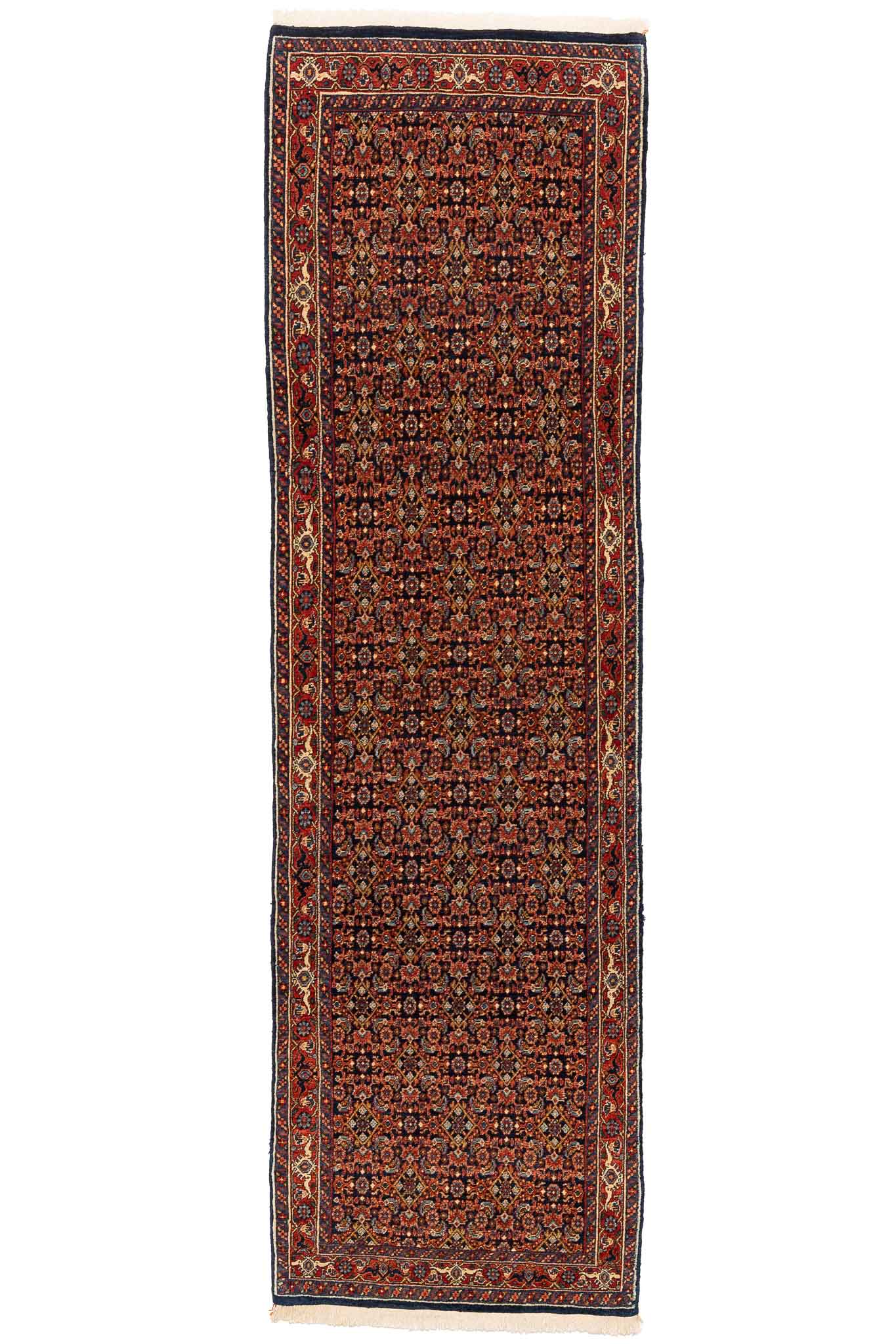 293 × 086 Bidjar Mirzai