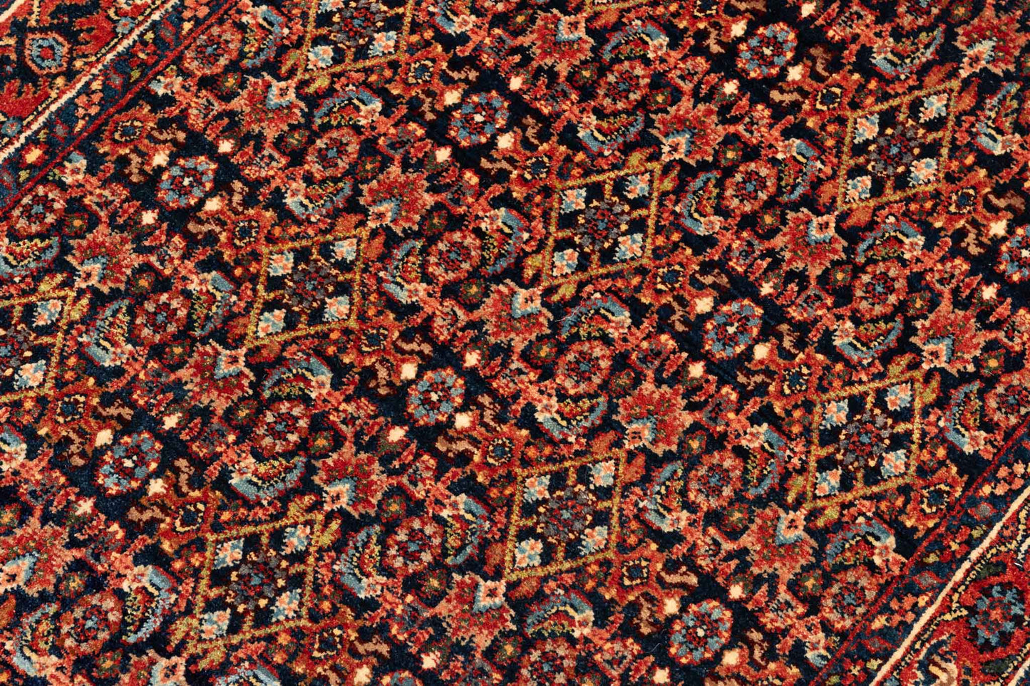 293 × 086 Bidjar Mirzai