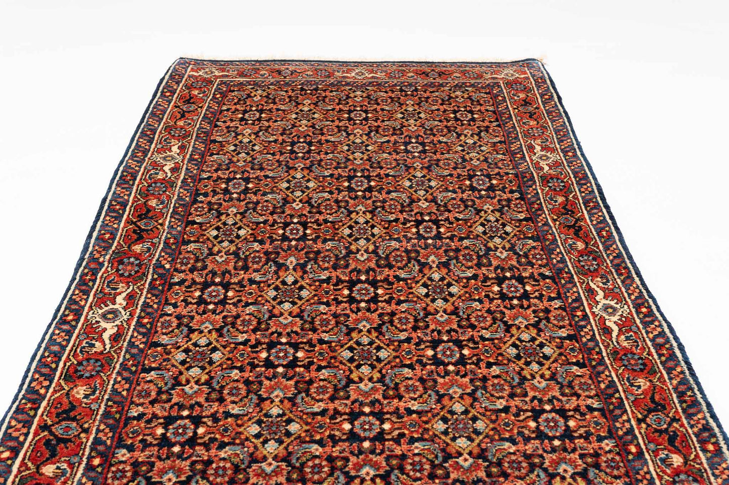 293 × 086 Bidjar Mirzai