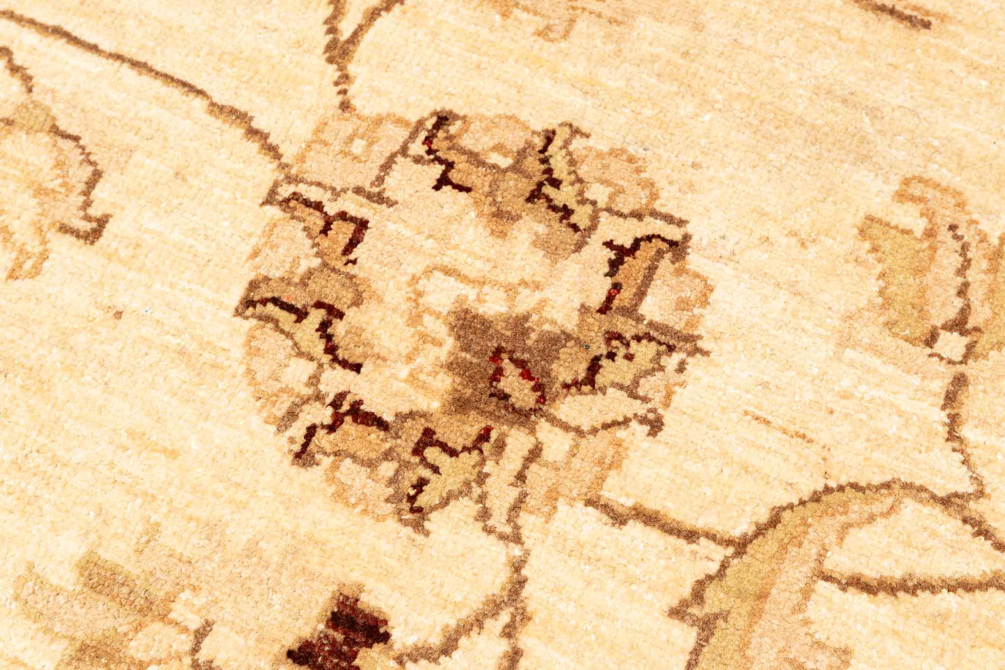 305 × 258 Zagros